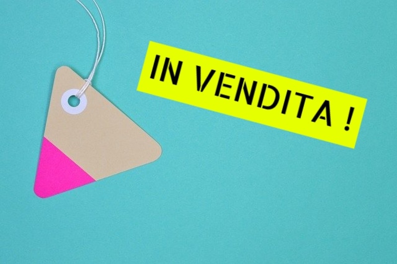 La vendita forzata e l'assegnazione nel recupero crediti - Avv. Martino Spimpolo a Rubano (PD)